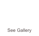 



See Gallery