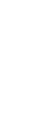 A "working" portrait of California abstract painter Jerry Carniglia creating his canvases while he and the filmmakers were fellows at the famed MacDowell Colony in New Hampshire.  The film captures the artist's creative method and inspiration - from Aristotle to Keats to Nietzsche  - and serves as more than just a primer on paint; it's a primer on life.